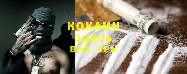 шишки Касимов