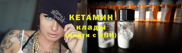 трава Карпинск