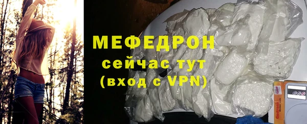 трава Карпинск