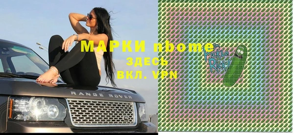 шишки Касимов