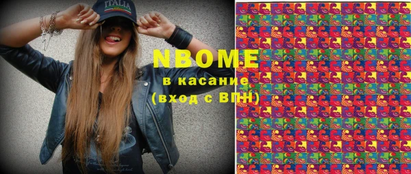 трава Карпинск