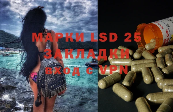 шишки Касимов