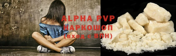 трава Карпинск