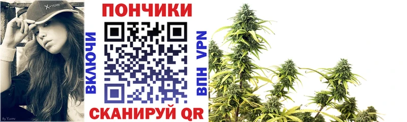 Бошки Шишки сатива Макарьев